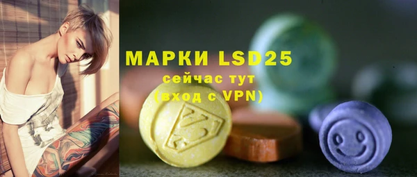 стаф Инсар