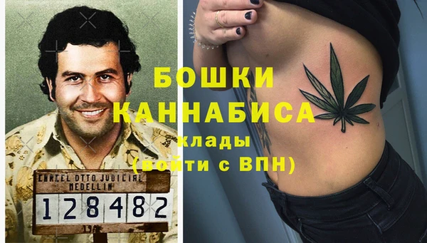 стаф Инсар