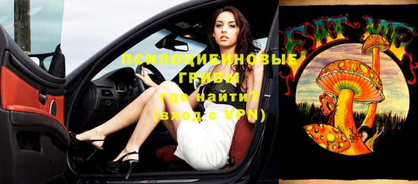 бутират Инта